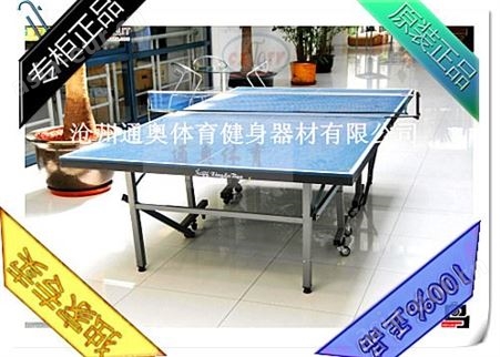 固定式折叠乒乓球桌，乒乓球桌厂家，室内乒乓球台批发