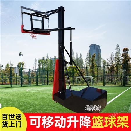 幼儿园可升降移动幼儿园户外篮球架 通奥体育