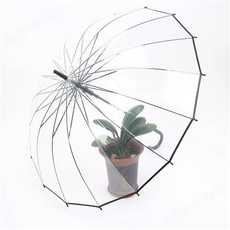 透明雨伞定制 礼品雨伞定做 雨伞
