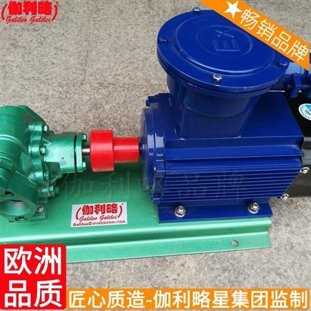 国产齿轮自卸车液压cb-1.4高压hgpzcb转子式输油齿轮泵