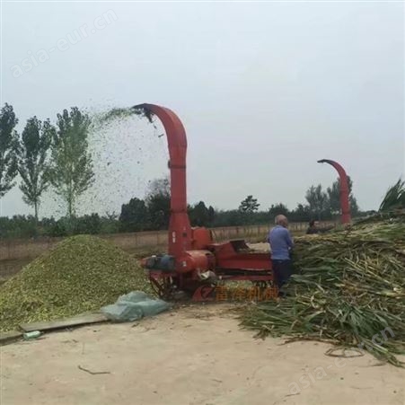 产量3-12吨铡草机  干湿两用饲料切碎机  喂牛羊碎草机