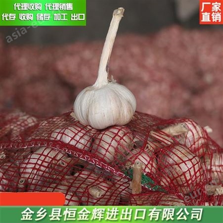 新鲜大蒜代购 蒜片厂家 山东金乡冷冻蒜米