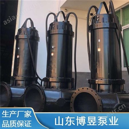 博昱WQ型立式不锈钢潜污泵 耐酸碱潜水排污泵