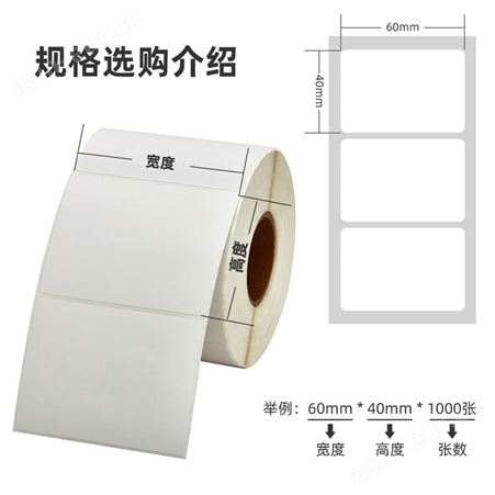 铜版纸不干胶标签空白贴纸  卷筒 全尺寸可定制 现货速发 新欣
